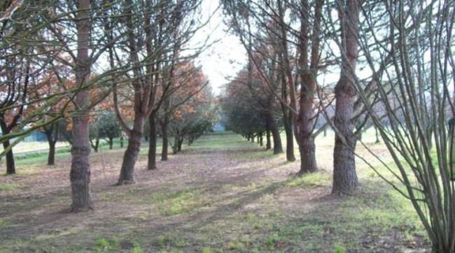 Vai alla scheda: Terreno Agricolo Vendita Empoli